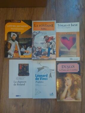 Lot 6 Livres Francais Classique Litterature Dumas Et Autres